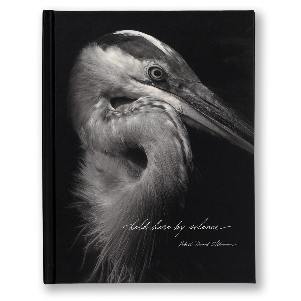 cover-held-here-by-silence
