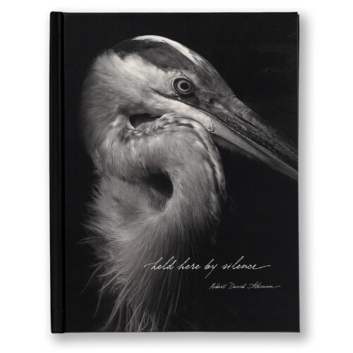 Fine Art Book Design – Held Here by Silence